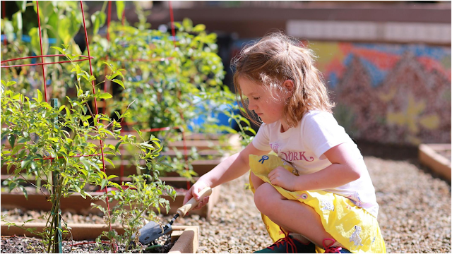 Foothills Montessori School