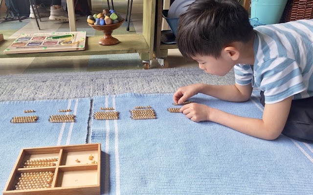 Ark Elementary Montessori Reggio School