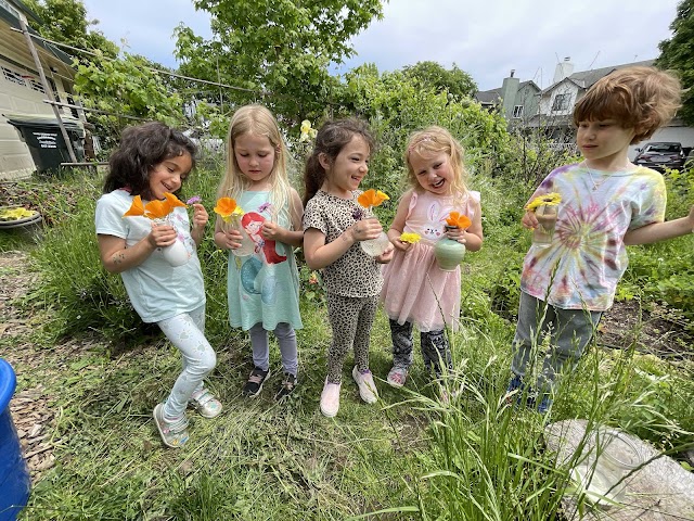 Nature Song Montessori