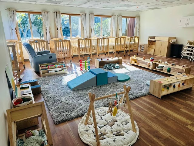 Shamrock Montessori School