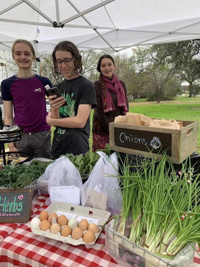 Austin Montessori School - Gaines Creek Campus
