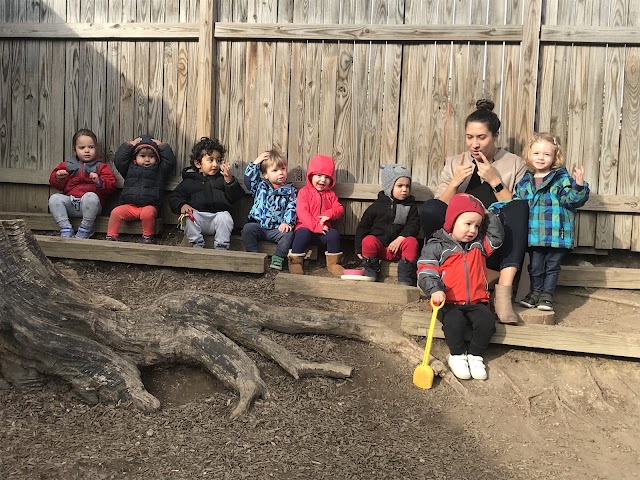 Metta Montessori School