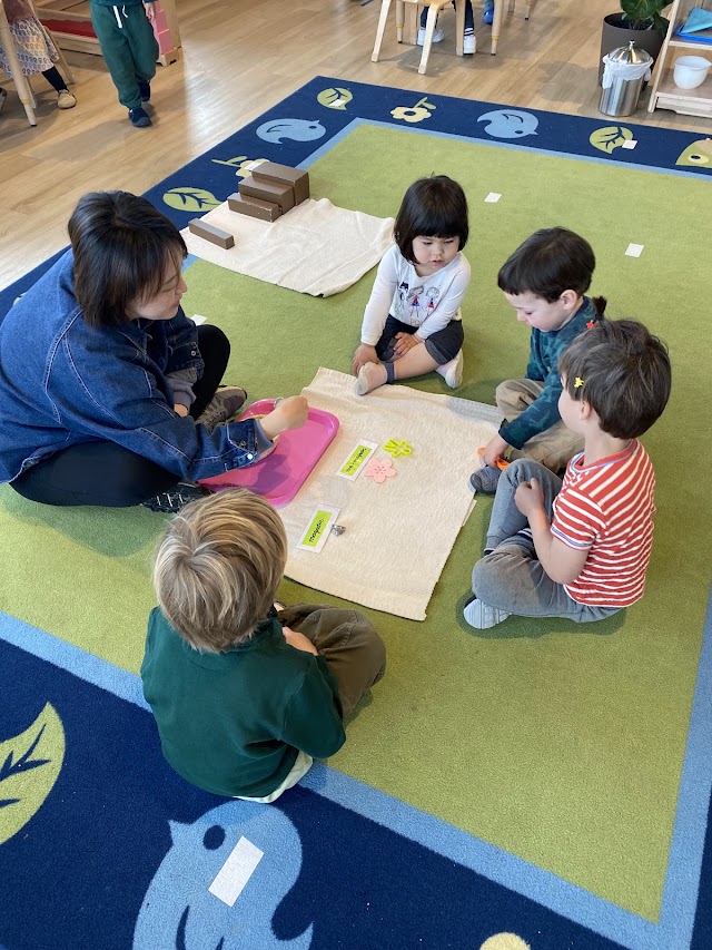 Potrero Hill Montessori School