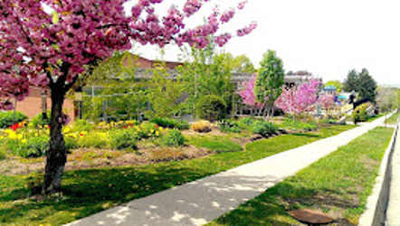 Foothill Montessori of Salt Lake