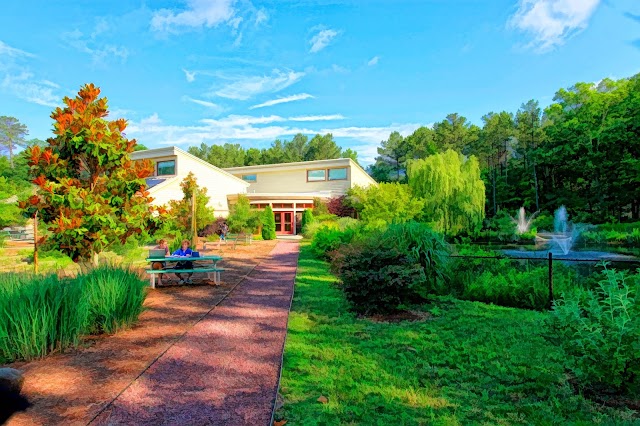 Montessori Community School