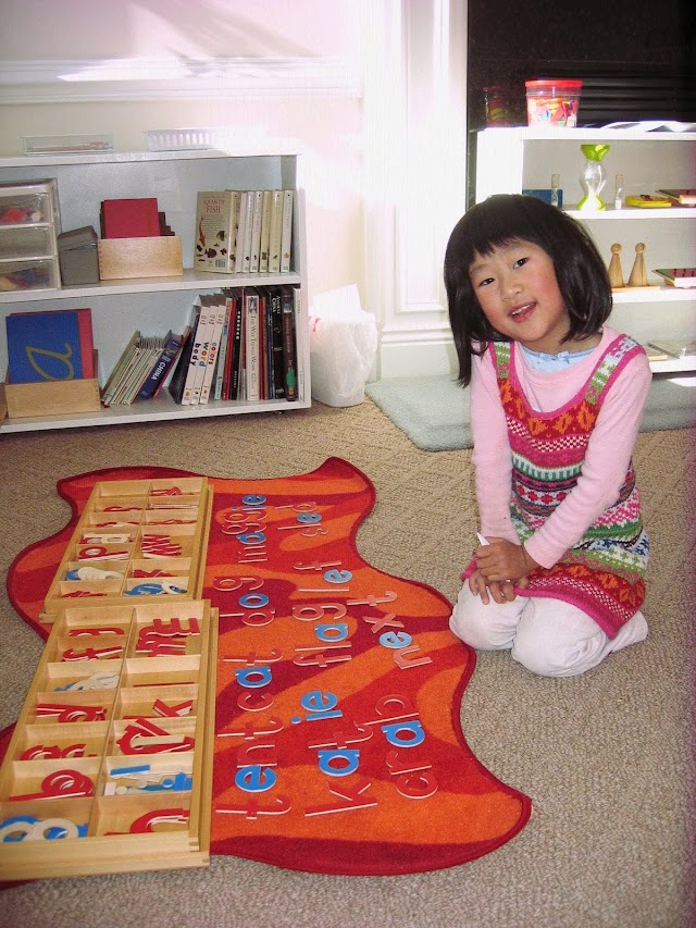 Little Genius Montessori School