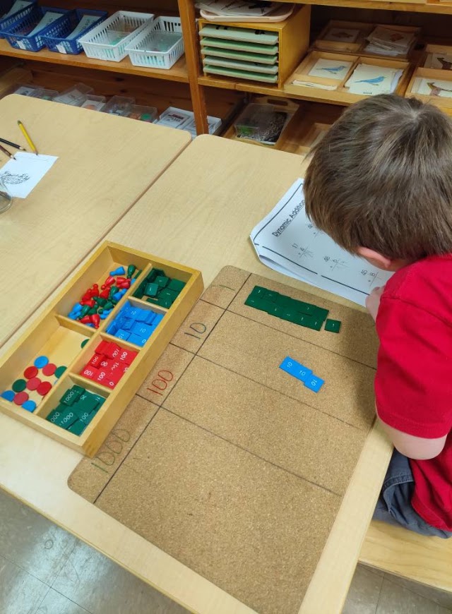 Montessori Early Learning Center