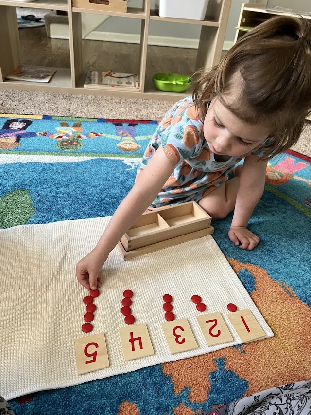 Amber Meadows Montessori