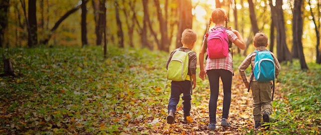 Nelephant Montessori School