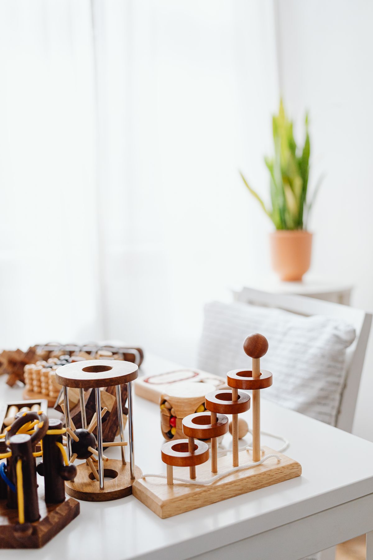 A collection of natural wooden educational toys in soft daylight